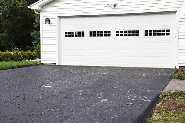 Best Hoarding Cleanup  in Woodville, OH